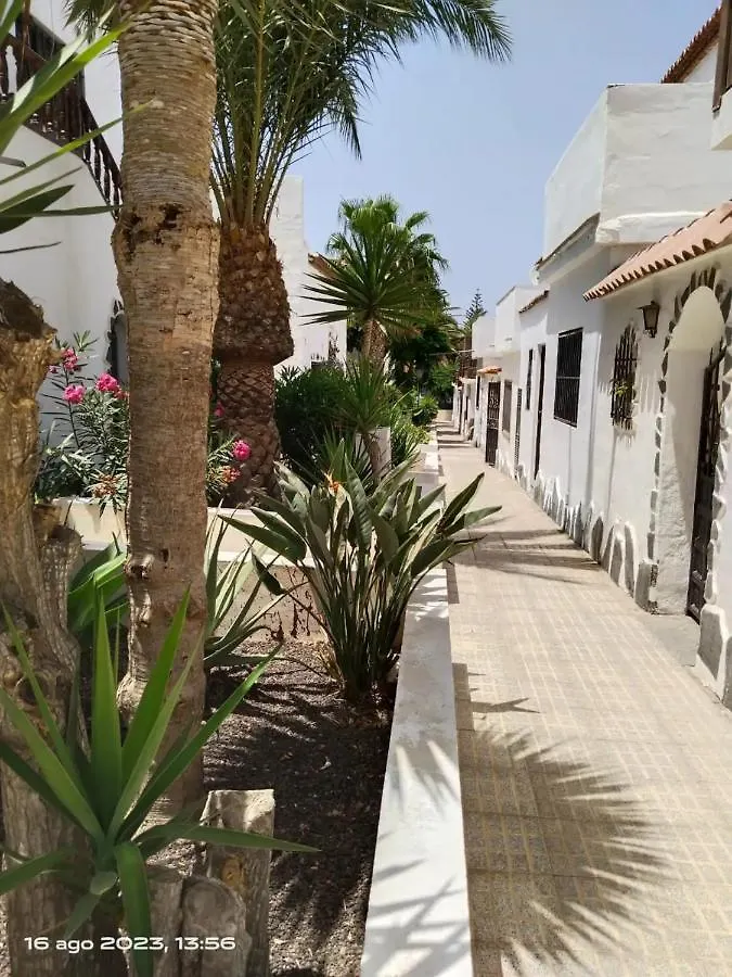 2 Camere Splendida Casa Vacanze In Tenerife Del Sur Casa Trilly Arona  España